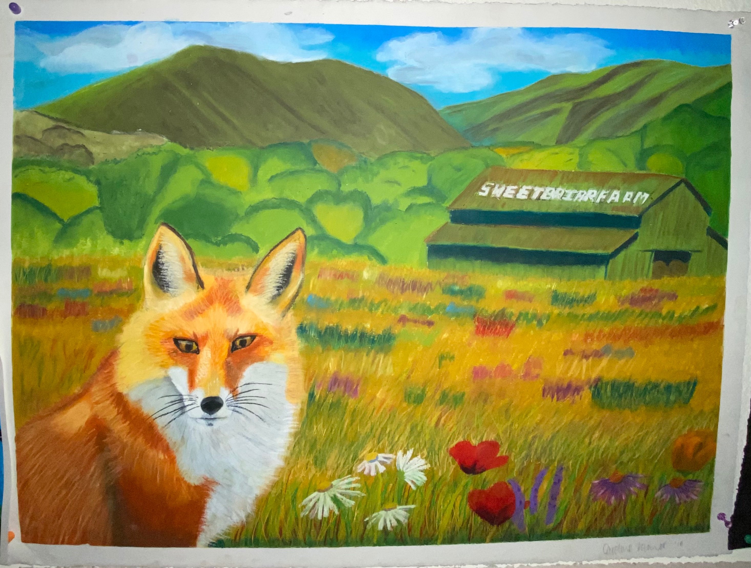 fox